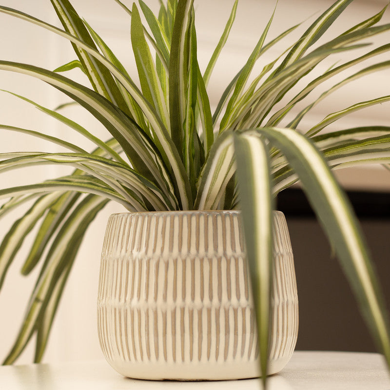 Set of 2 Artificial Plants in Beige Rustic Ribbed Ceramic Pots